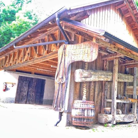 Vitanje Glamping Brodej酒店 外观 照片
