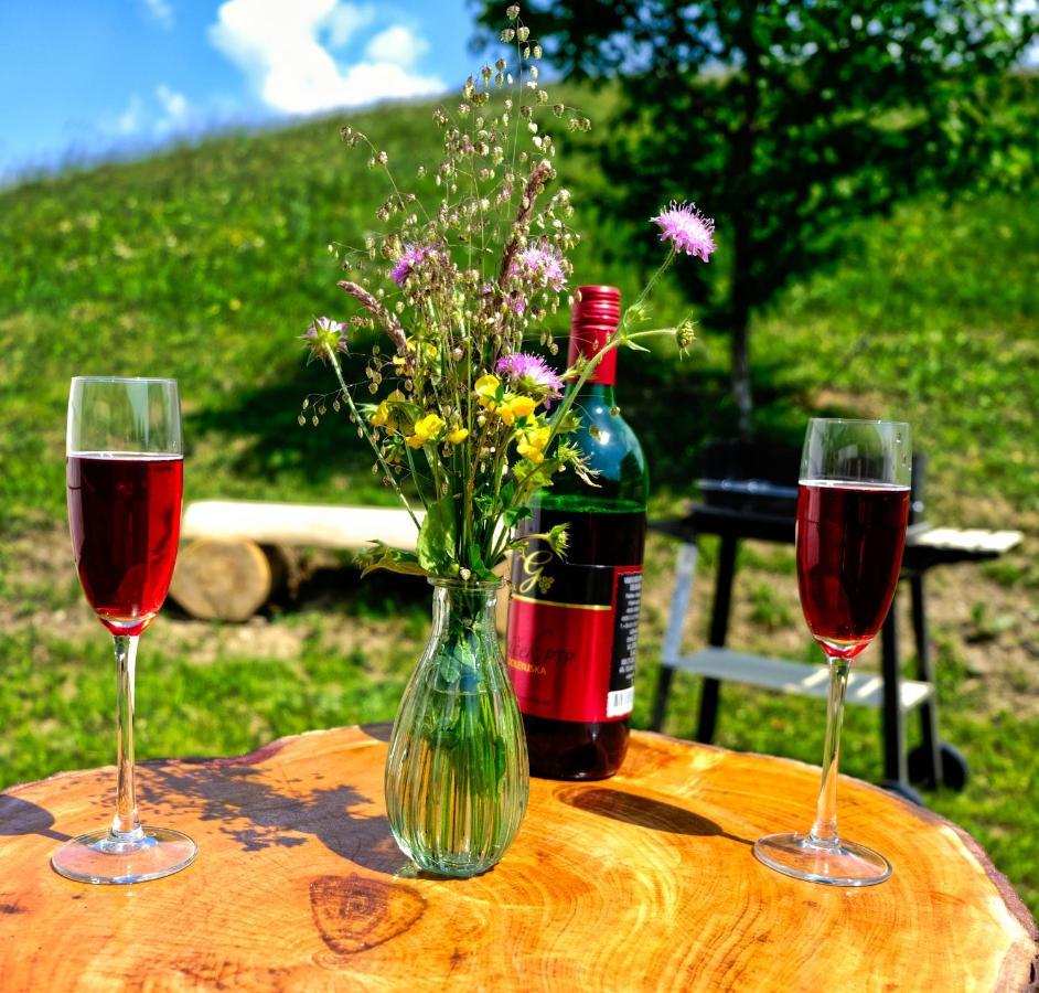 Vitanje Glamping Brodej酒店 外观 照片