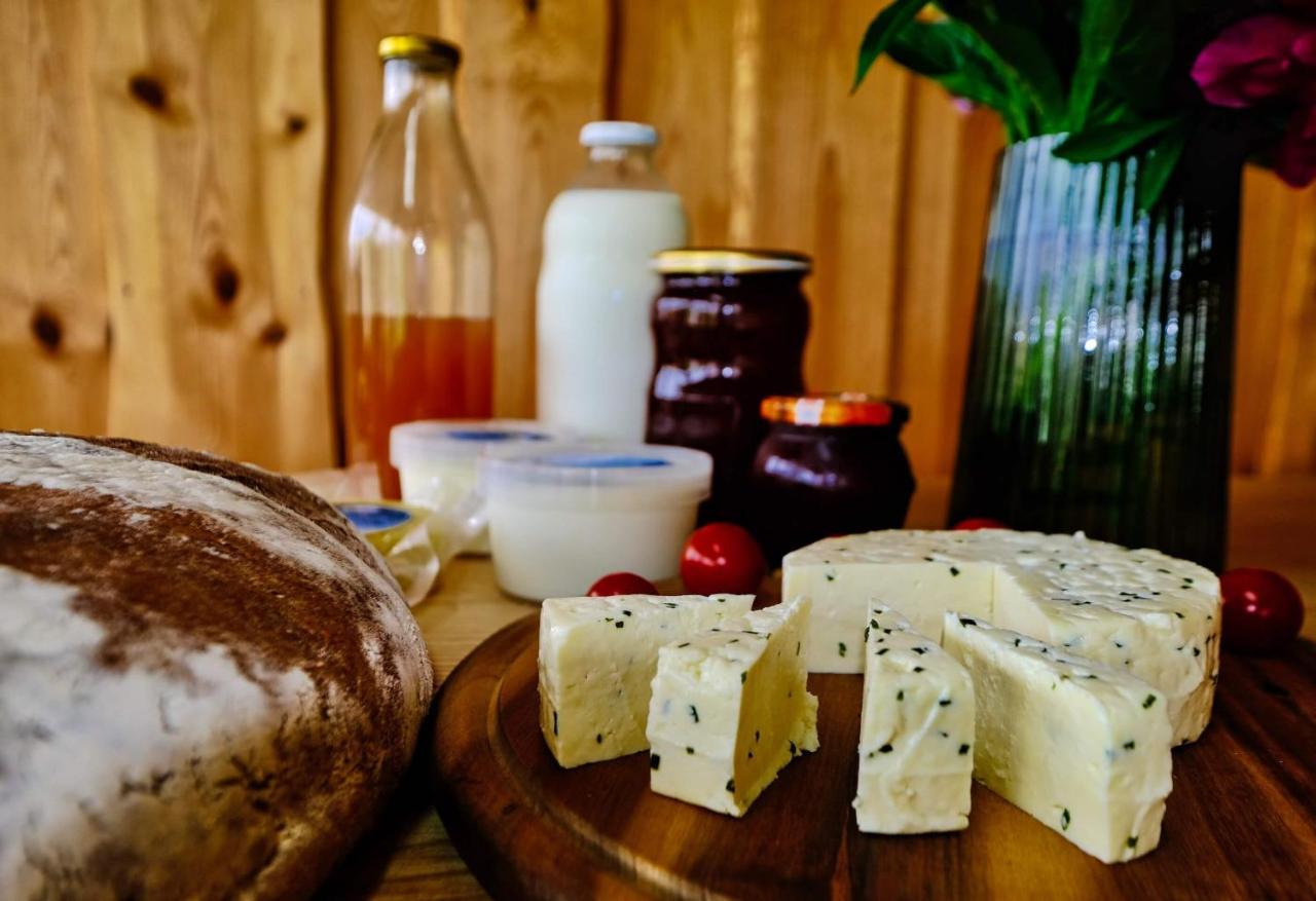Vitanje Glamping Brodej酒店 外观 照片