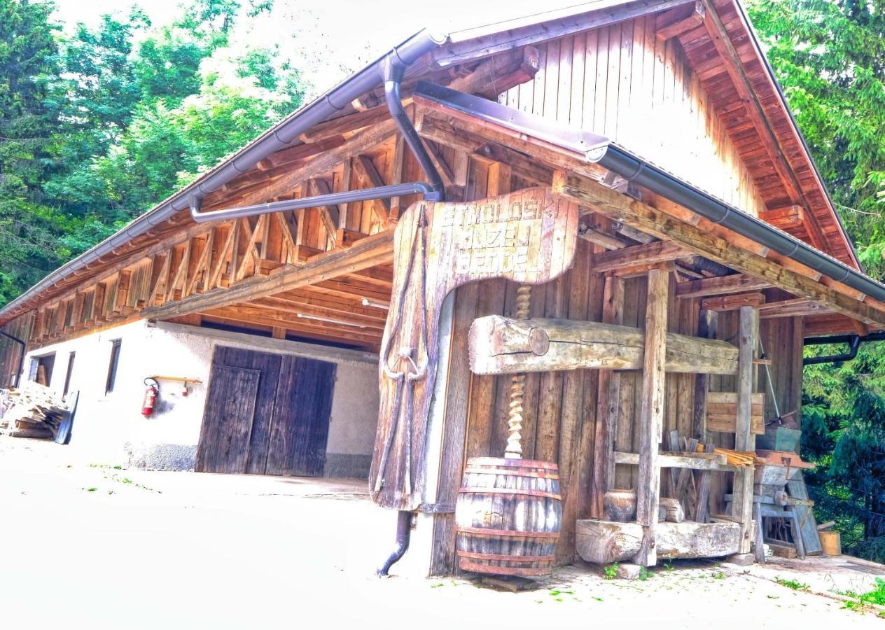 Vitanje Glamping Brodej酒店 外观 照片